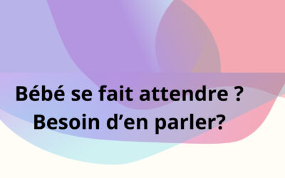 Programme : 1er semestre 2024